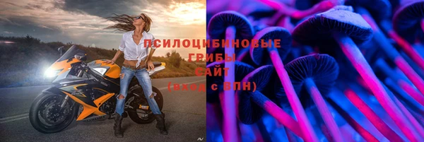 гидропоника Алзамай