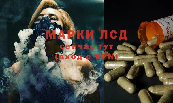 гидропоника Алзамай