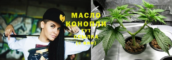 гидропоника Алзамай