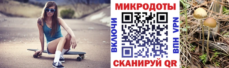 Галлюциногенные грибы прущие грибы  Петрозаводск 