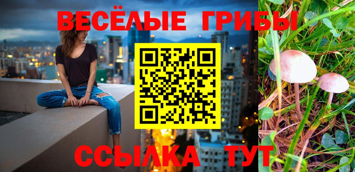 Петрозаводск  Галлюциногенные грибы прущие грибы  Вход с VPN 
