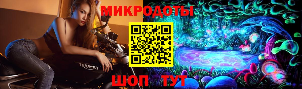 Псилоцибиновые грибы MAGIC MUSHROOMS Петрозаводск
